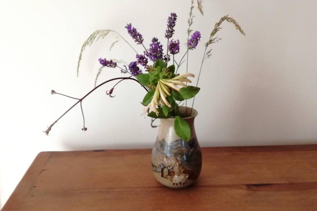 Farm Accommodation - The Lizard Peninsula, Cornwall Helston Bagian luar foto