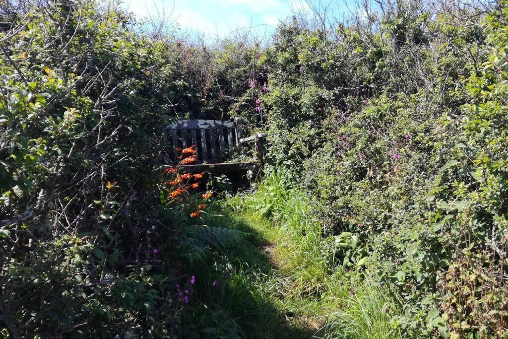 Farm Accommodation - The Lizard Peninsula, Cornwall Helston Bagian luar foto