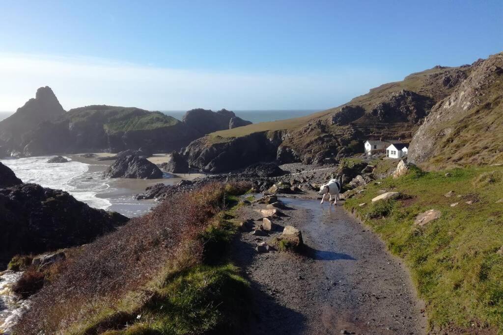 Farm Accommodation - The Lizard Peninsula, Cornwall Helston Bagian luar foto