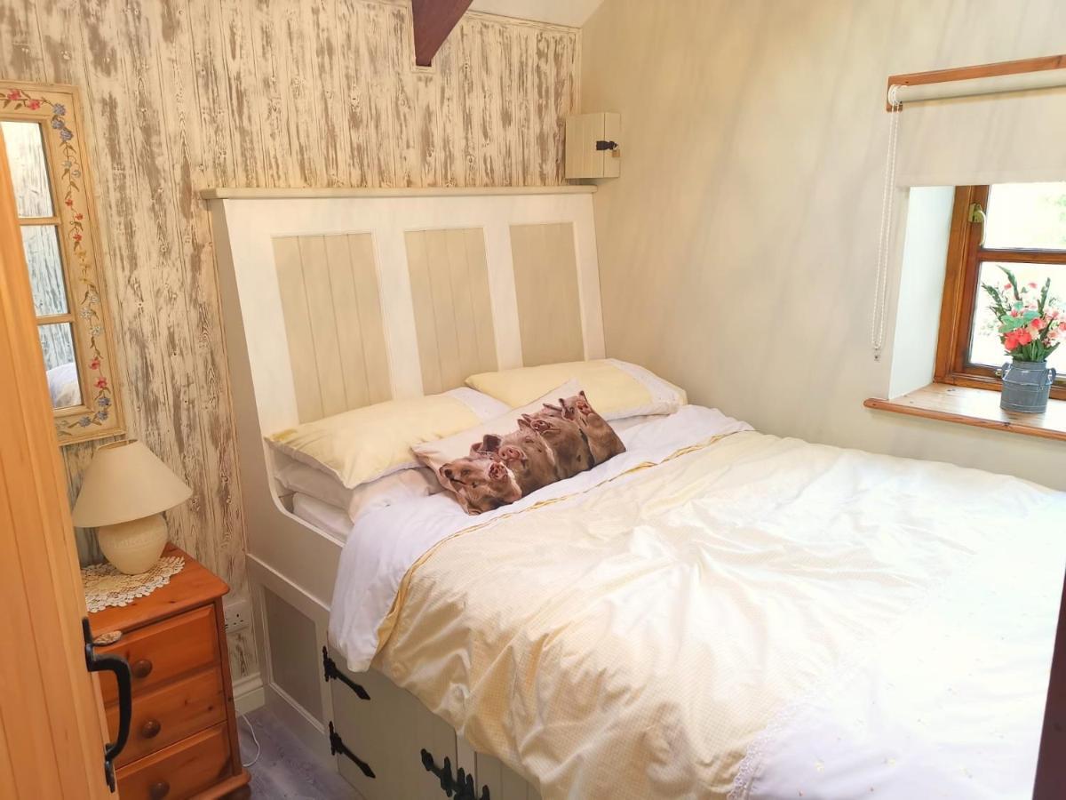 Farm Accommodation - The Lizard Peninsula, Cornwall Helston Bagian luar foto