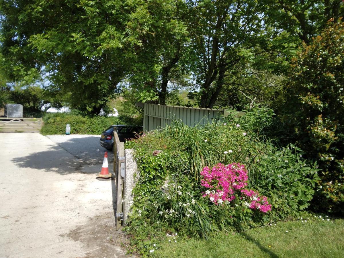 Farm Accommodation - The Lizard Peninsula, Cornwall Helston Bagian luar foto